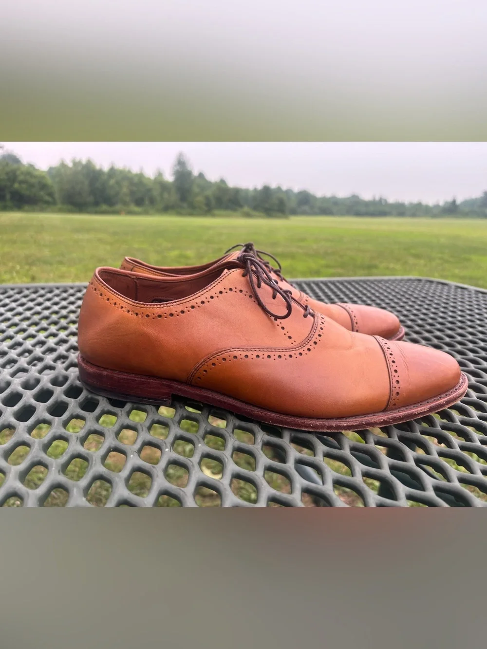Allen Edmonds Hale Cap Toe Oxford Mens US 11.5 EEE 3E BrownLeather Dress Shoe